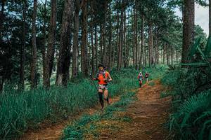 BIB: 
                            <button type="button" onclick="openModal(25752098)" class="btn btn-primary btn-sm float-right btn-popup" data-toggle="modal" data-target=".modal-high-quality">
                        <i class="fas fa-shopping-cart"></i> Add to Cart
                    </button>
                                            <button type="button" onclick="isThisMe(25752098, true)" class="btn btn-success btn-sm float-right btn-popup btn-isme hidden" data-toggle="tooltip" data-placement="bottom" title="นี่คือรูปของคุณใช่ไหม คลิกที่นี่เพื่อเอาเข้าอัลบั้ม">
                        <i class="fas fa-plus"></i> Add to album
                    </button>
                    <button type="button" onclick="isThisMe(25752098, false)" class="btn btn-warning btn-sm float-right btn-popup btn-isnotme hidden">
                        <i class="fas fa-ban"></i> Remove from album
                    </button>